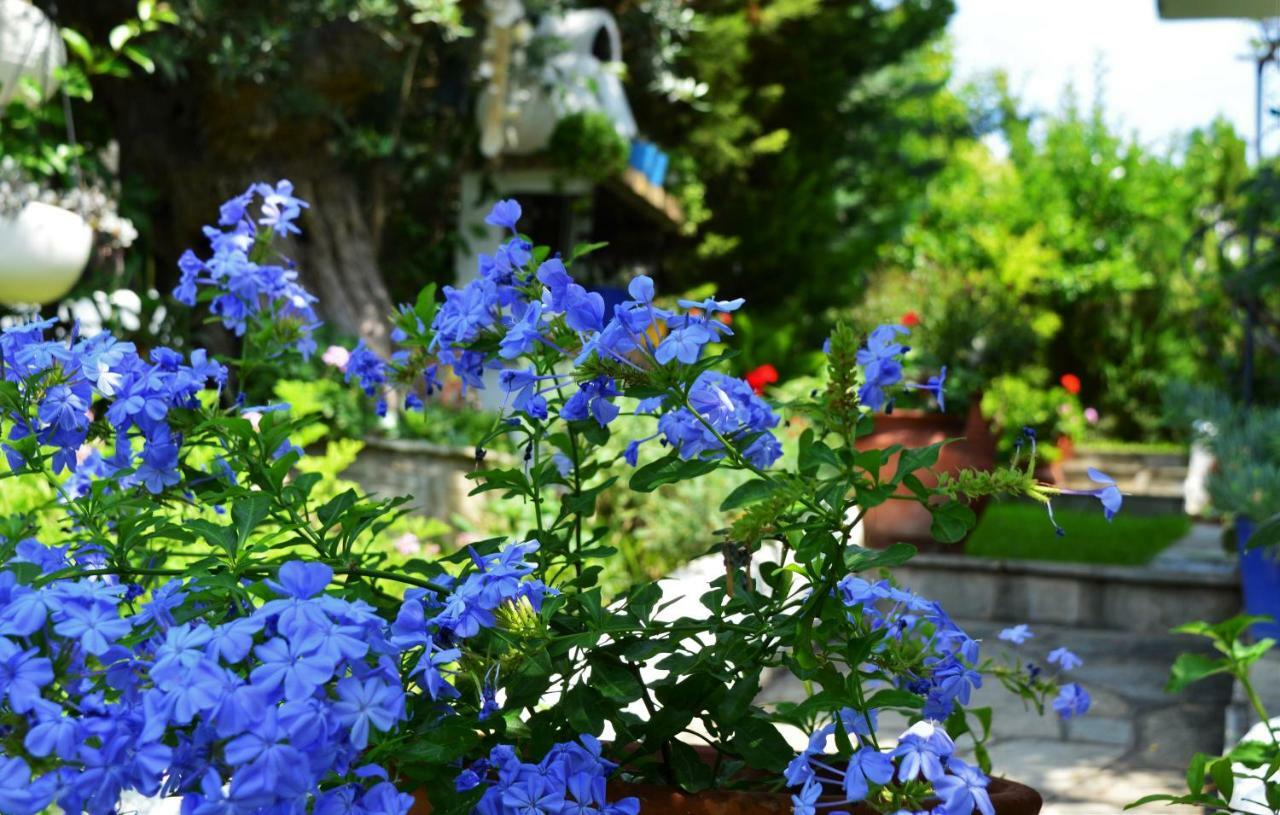 Sonia'S House With Garden Villa Геракини Екстериор снимка